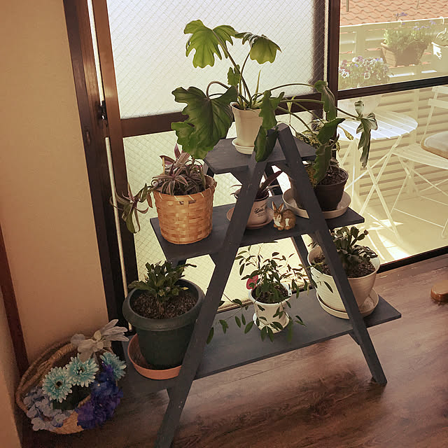 2018.4.21☀️,ラダーシェルフDIY,窓辺のグリーン,観葉植物のある部屋,じつは和室,My Shelf coconyantaの部屋