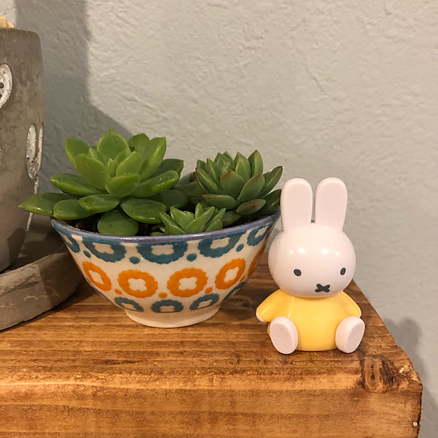 miffy♡,ナチュラル,可愛いもの❤️,雑貨,好きなものは飾りたいタイプ,好きなものに囲まれた暮らし,こどものいる暮らし,子供,癒し,カフェみたいなインテリアにしたい,多肉植物,癒しの植物,寄せ植え,鉢,植物,グリーン,整理整頓,My Shelf moka-starの部屋