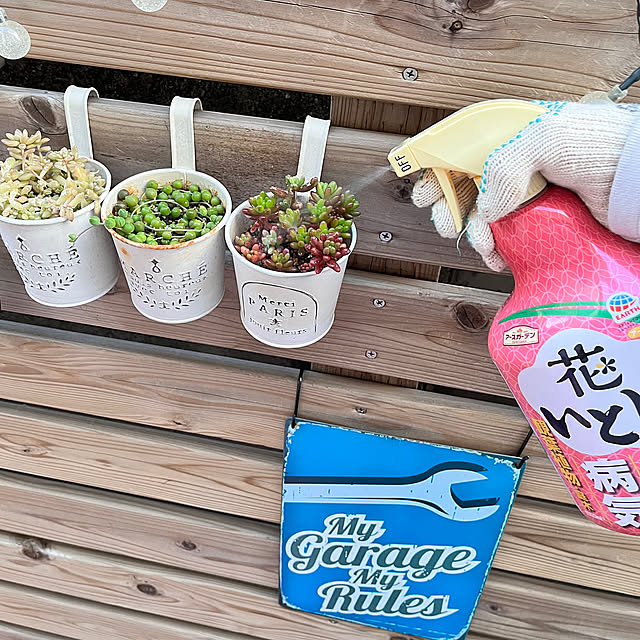 Overview,ブリキプレート,ガーデニング,趣味,癒し,ウッドデッキ,花のある暮らし,害虫対策,趣味を楽しむ,アースガーデン,ガーデニングが好き,花いとし,暮らしのハンドブック2024,手作りガーデン,多肉植物,多肉ちゃん,多肉寄せ植え,ソーラーライト Saiiiの部屋