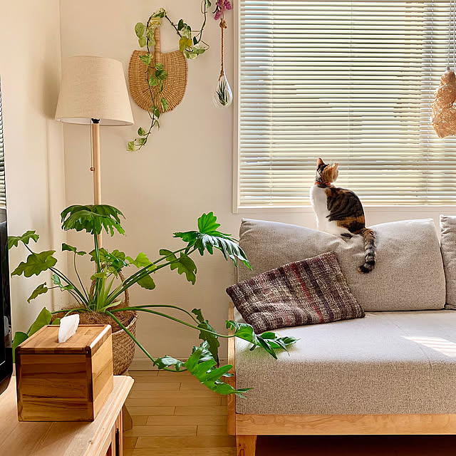 豊富な種類でお部屋に彩りを！ニトリで見つけるフロアランプ