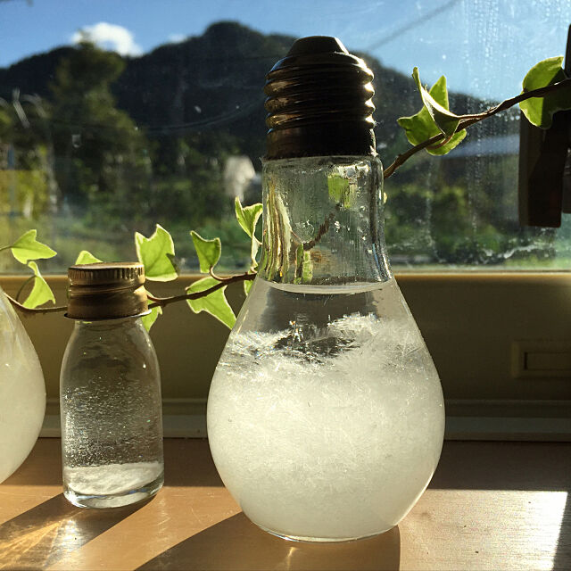 Kitchen,台風一過,ストームグラス,セリアの電球瓶,植物のある暮らし,キッチンの一角,ストームグラスを手作り kyo878787の部屋
