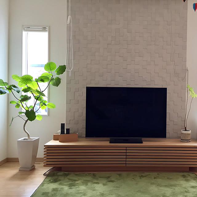 植物のある暮らし,パキラ,テレビボード,シンプル,エコカラット,ウンベラータ,Lounge takeboo3の部屋