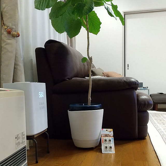 Lounge,10分でできる,グリーンのある暮らし,観葉植物,いいね♪いつもありがとうございます❤️,ダイソー,ラクラクピタッ！とキャスター,フォローありがとうございます♡,加湿器,ガスファンヒーター,ウンベラータ,イケヒコ,ラグ,オットマン,ソファ,キャスター,U-LIFE Renの部屋