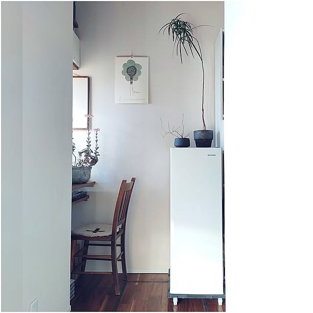 On Walls,パントリー,アイリスオーヤマ,珪藻土の壁,セカンド冷凍庫,ボトルツリー,平台車,RoomClipショッピング,幅35.6cm,2025.2.9,スキマックス,買って良かった,ヤマゼン,スマート連結平台車 hana-の部屋