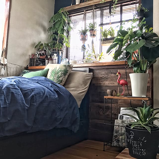 Bedroom,ウッドブラインド,モダンボタニカル,ニトリ,H&M HOME,greenfingers,modernbotanical,DIY,植物のある暮らし,NO GREEN NO LIFE,ボタニカル,出窓,PUEBCO,フラミンゴ chobiの部屋