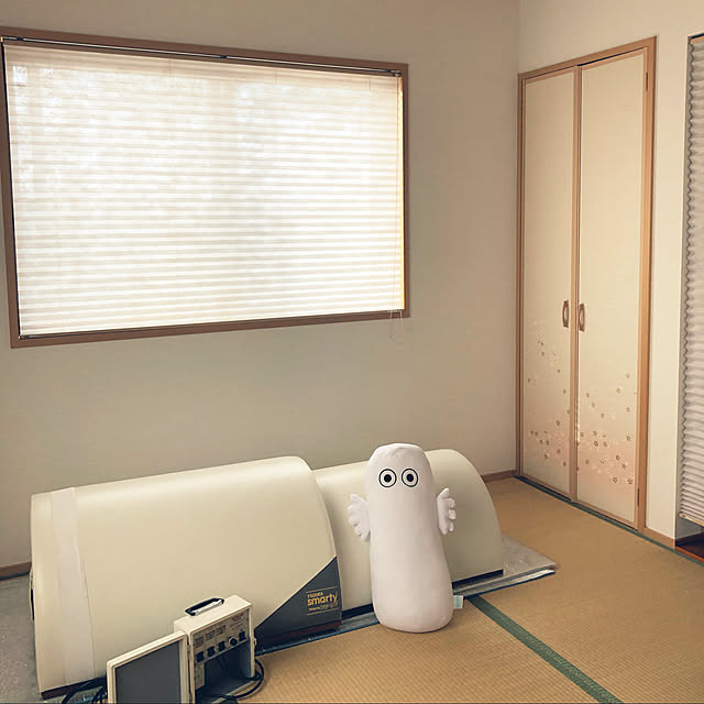 ニョロニョロ,抱き枕,免疫力up,発汗代謝促進,健康的に過ごしたい☆,健康グッズ,スマーティ,遠赤外線,ドーム型サウナ,サウナのある暮らし,サウナ,タチカワ プリーツスクリーン,タチカワブラインド,和室,健康,Overview gokumamaの部屋