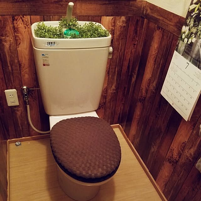 Bathroom,セリア,ダイソー,賃貸アパート,リメイクシート,ダイソーのフェイクグリーン rarihimeの部屋