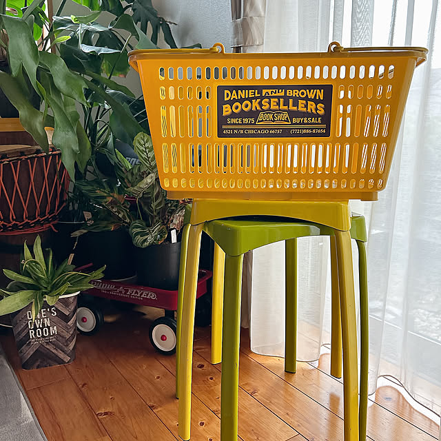 Lounge,バスケット,カゴ,スツール,椅子,カラフル,観葉植物,グリーン,癒し,カラテア,グリーンのある暮らし,観葉植物のある暮らし,ニコアンド,レジカゴ skhrの部屋