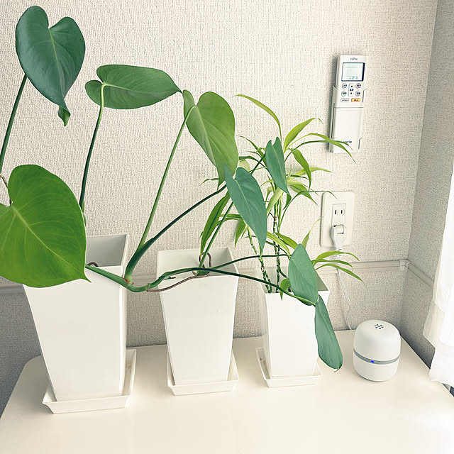 マモルーム,快適な暮らし,虫対策,アース製薬,ダニ対策,モニター投稿,My Desk H.Tの部屋