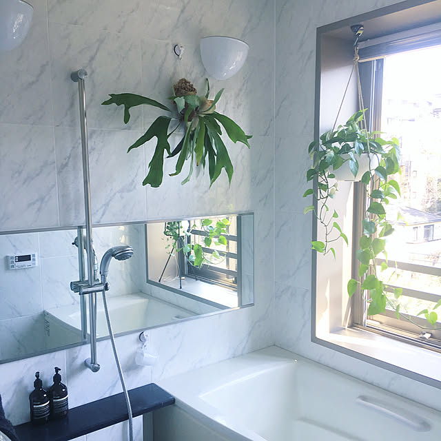 Bathroom,ポトス,ビカクシダ,窓が大きい,バスルーム,海外インテリア好き,植物のある暮らし,シンプルモダン,イソップ k.home1224の部屋