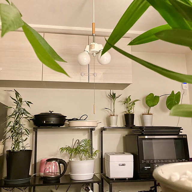 Kitchen,BRUNOホットプレート,加湿器,癒し,モノトーン,モンステラ,ポトス,晩酌,ありがとうございます,ホテルライク,ペットと暮らす家,吹き抜けのある家,グレーインテリア,ペットとの暮らし,ペットと暮らすインテリア,リラックス空間,観葉植物のある暮らし,リゾートホテル風,間接照明のある暮らし,2階リビングダイニング,SwitchBot Hub Mini,工事不用食洗機,大理石調フロアステッカー,SwitchBotのある暮らし MOMOMAMAの部屋
