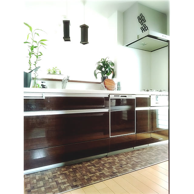 Kitchen,収納,南海プライウッド,収納生活,ブラウンインテリア,コメントお気遣いなく♡,ダークブラウン部,建売,建売住宅,パナソニックキッチン,ニトリ,ニトリ購入品,キッチンマット,ニトリ鍋敷き,マットブラック部,スパイラルバンブー,観葉植物 kodaminの部屋