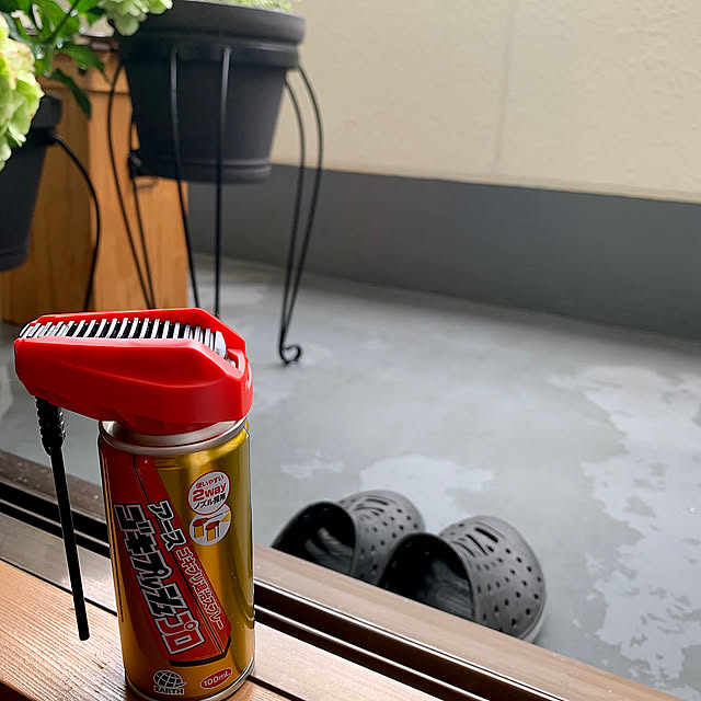 害虫は困る!,むしろ昆虫好き,虫平気,アースゴキプッシュプロ,アース製薬,虫対策,IG⇨yasuyo66,虫侵入防止,2人暮らし,Entrance,G対策,巾木,敵を知る yasuyo66の部屋