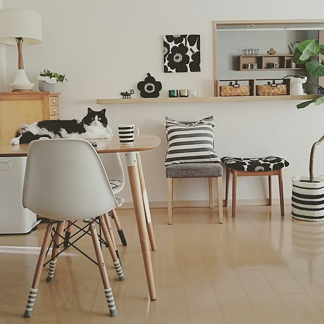 Overview,模様替え,北欧,シンプルに暮らす,NO CAT,NO LIFE❤️,マンション暮らし,ねこと暮らす。,マリメッコ,２人と３匹暮らし,漆喰壁DIY,北欧食器,hemukoさん♡,しましま,ダイソー♡,ボーダー sumosarozaの部屋