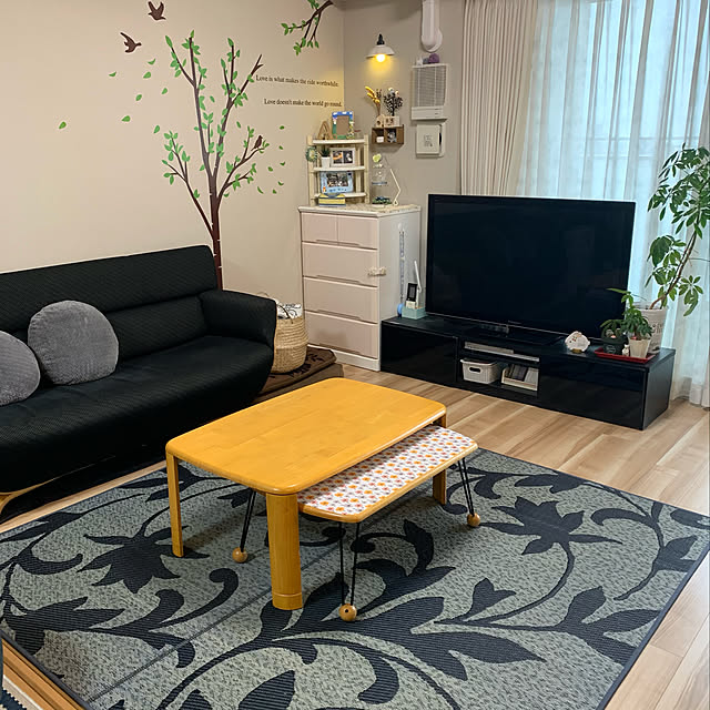 い草のある暮らし,イケヒコ・モニター,ヒコラー,い草,モニター中,Overview KONBUの部屋