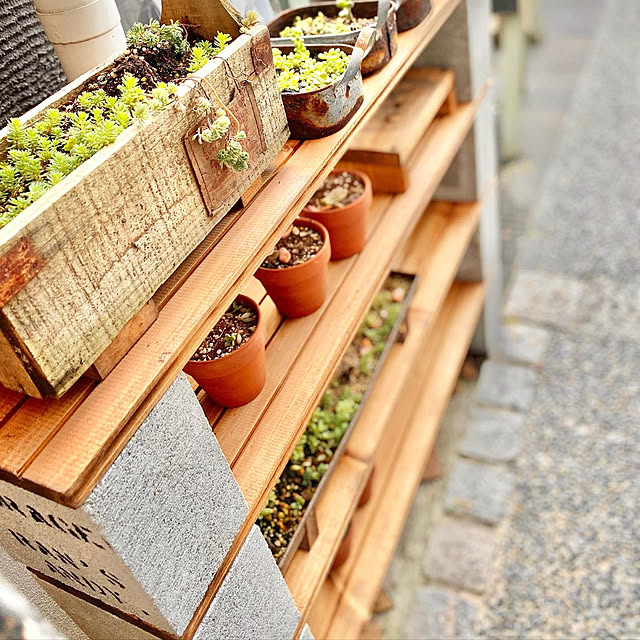 コンクリートブロック,多肉棚DIY,多肉植物のある暮らし,多肉植物,暮らし,Insta→RANSANDYMADE,お気軽にフォローどうぞ♪,いつもいいねやコメありがとうございます♡,DIY,生活感をなくしたい,フォロー&いいね ありがとうございます♡,Entrance Rans_andy.の部屋