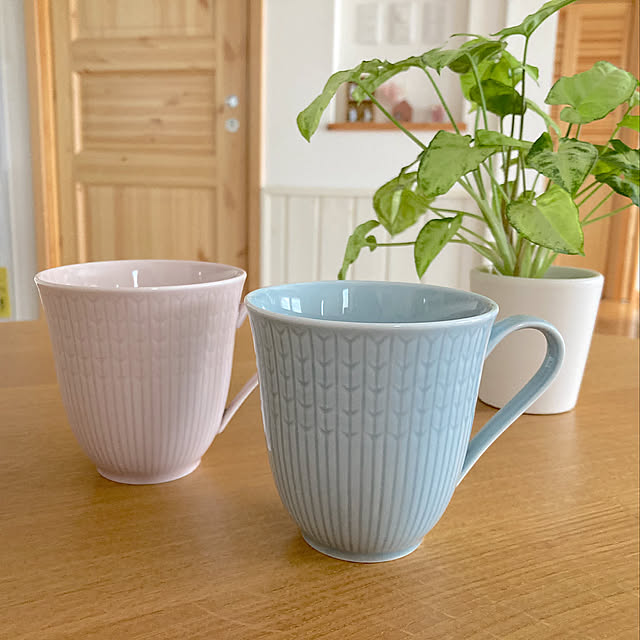 ロールストランド,マグカップ,植物が好き,植物のある暮らし,Overview,スウェディッシュグレース bestwishes.ryokoの部屋