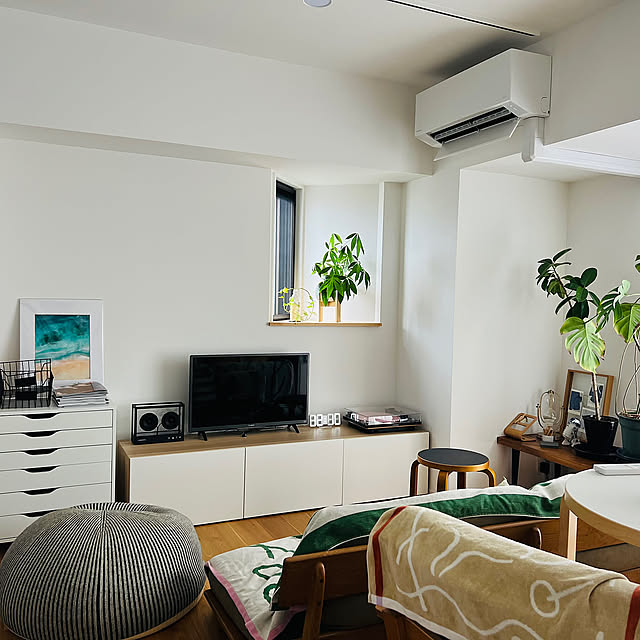 Overview,中古マンションリノベーション,ひとり暮し,観葉植物,定点観測,1LDK KNの部屋