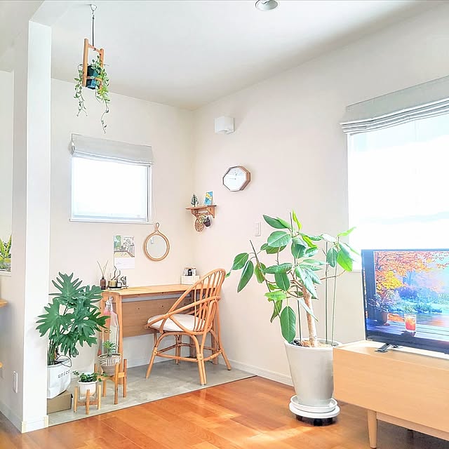 Overview,観葉植物,グリーン,ディスプレイ,unico,ナチュラルインテリア,秋の模様替え,楽天で買ったもの,ヌックのある家 .Haの部屋