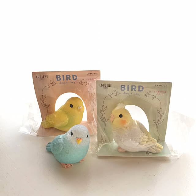 Overview,インコの置物,ガーデニング,セリア,プチプラインテリア,100均大好き,ナチュラル mimikoの部屋