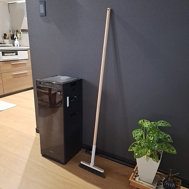 Lounge,買ってよかったもの,お気に入り,生活の工夫,Instagramもやってます♡,落ち着く空間作り,色々参考にさせていただいてます♥,いいね&ﾌｫﾛｰ有難うございます♪,いつも有難うございます♪,RCに出会えて嬉しい♥,工夫して暮らす,roomclip楽しい•*¨*•.¸¸♬,トキメク工夫,無印良品,無印良品ほうき,掃除スイッチ入る hanapanの部屋