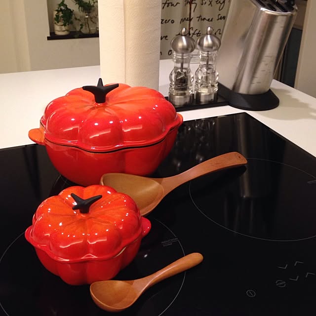 Kitchen,ルクルーゼ FXの部屋