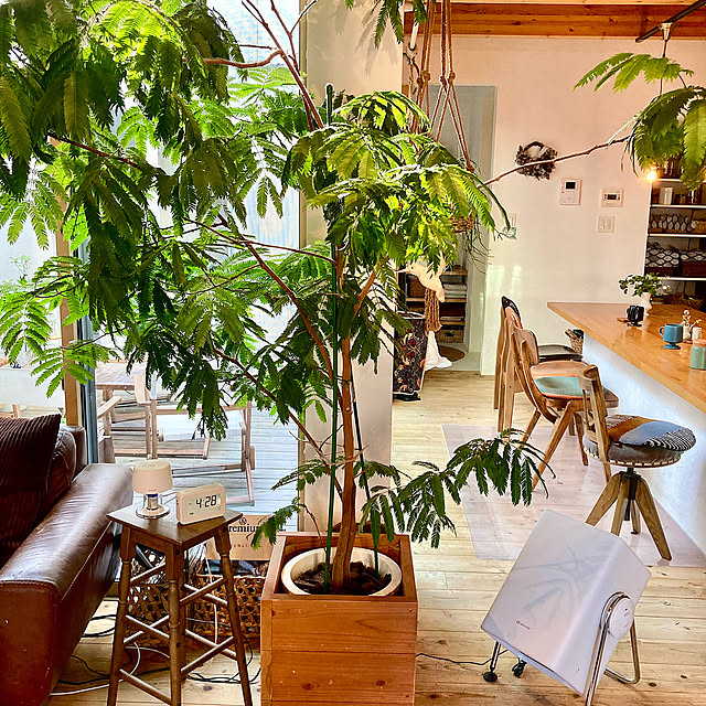 Lounge,木のある暮らし,カフェ風,RHYTHM,くらしのリズムを整える,リズムアンバサダー green.green.greenの部屋