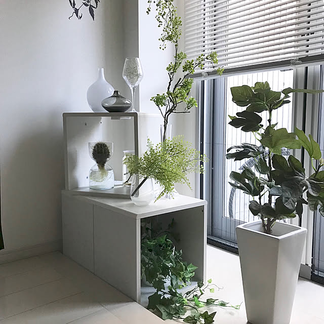 Entrance,カラーボックス,モノトーン,ホワイトインテリア,フェイクグリーン,1R/1K,ワンルーム,一人暮らし SnSの部屋