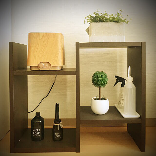 Lounge,加湿器,John’sBlend,ナチュラル,観葉植物,ボタニカル,インテリア,フェイクグリーン Hikkoの部屋