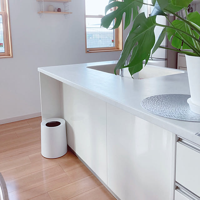 ホワイトキッチン,ホワイトナチュラル,モンステラ,夏のスペシャルクーポン,RoomClipショッピング,スッキリ暮らしたい,シンプルな暮らし,シンプルナチュラル,北欧ナチュラル,シンプルインテリア,ダストボックス,シンプル,Kitchen m.k.mの部屋
