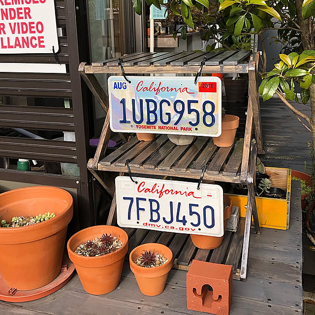 多肉植物,キシラデコール,ナンバープレート,ライセンスプレート,アメリカン,アメリカン雑貨,アメリカンヴィンテージ,ジャンクガーデン,庭,DIY,ウッドデッキ,My Shelf,コーナンラック junk_722の部屋
