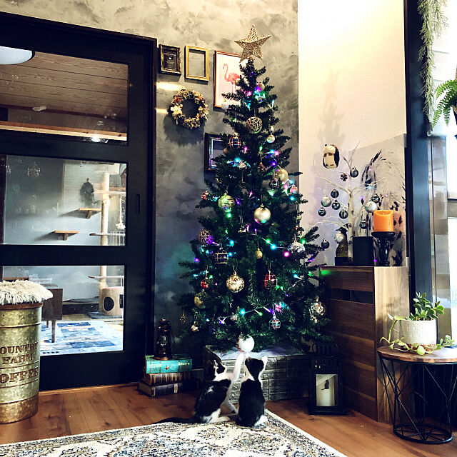 クリスマスツリー,クリスマス,まめとうめ,冬支度,ニトリ,いつもありがとうございます♡,保護猫,リフォーム,猫と暮らす,中古戸建て,RCの皆さんに癒されてます♡,My Shelf Yukinekoの部屋