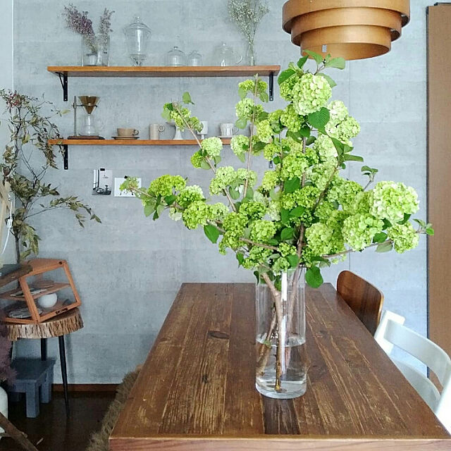 Kitchen,お気に入り,ナチュラルインテリア,カフェ風インテリア,花のある風景,緑のある空間,花のある暮らし,緑と暮らす,ダイニングインテリア KAORIの部屋