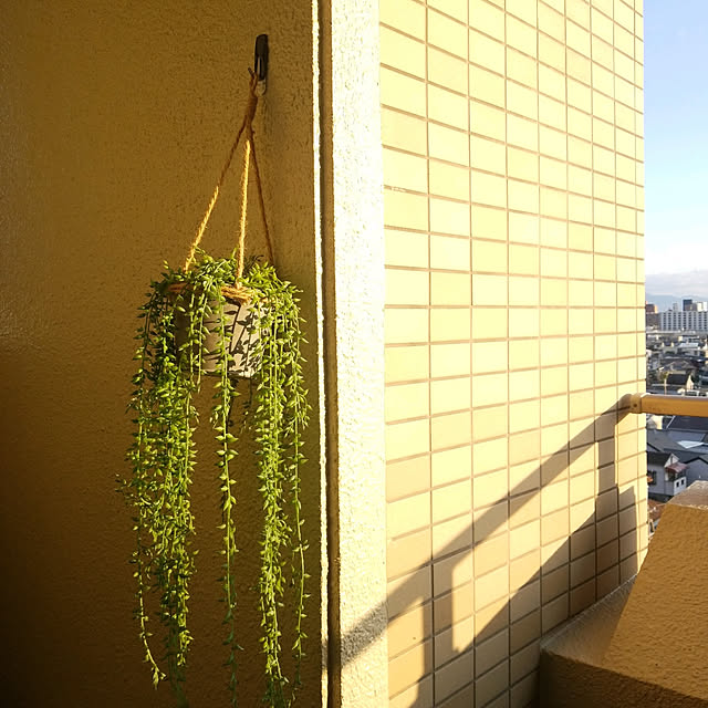 On Walls,壁,デコレーション,コマンドフック,暮らしを楽しむ,スリーエム,いいね&フォローありがとうございます☆,押し逃げばかりでごめんなさい,いいね♪いつもありがとうございます❤️,いいね！ありがとうございます♪,コメントスルーで大丈夫です♡,コメントお気遣いなく♡ sonfaの部屋