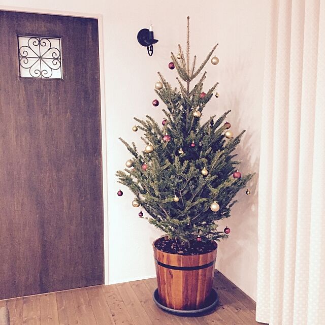 Lounge,オーナメントボール,本物の木,もみの木,クリスマスツリー180cm,北欧,アンティーク,クリスマスツリー,クリスマス TommyLifeの部屋