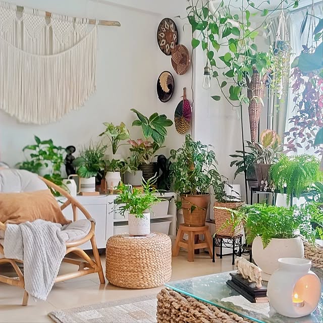 Lounge,お気に入りアイテム,一人暮らし,マンション,観葉植物,URBAN GREEN LIFE,2026.1.21,窓辺のグリーン,飾り棚,マクラメタペストリー手作り,カラテアオルビフォリア,プテリス,トキワシノブ,ハンドメイド YuriYuriの部屋