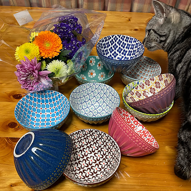 ニャンチェック,エグゼクティブ会員,ついつい買ってしまう,カラフルな食器,porcelain bowls,割引商品,久しぶりのお買い物,コストコ,ねこのいる日常,猫と暮らす,ねこと暮らす,Kitchen,お買い物,お花,マフィンは却下されました,お茶碗 yumiの部屋