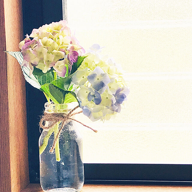 あさひも,牛乳瓶,紫陽花,アジサイ,花のある暮らし,あじさい,Bathroom yukariの部屋