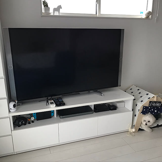 ドッグカメラ,Panasonic,レコーダー置き場,いぬと暮らす,ニトリ,ホワイトインテリア,ビションフリーゼ,お風呂テレビ,Lounge kotomiの部屋