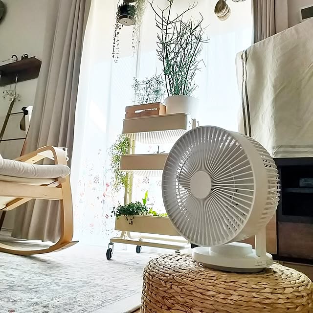 Kitchen,扇風機・サーキュレーター,窓,雑貨,ディスプレイ,癒し,夏,ナチュラルインテリア,ミニチュア雑貨,暑すぎる,季節を楽しむ,イベント参加します♡,癒しセット,植物,グリーン,ボタニカルインテリア,植物のある暮らし,無印良品,無印良品のサーキュレーター teamoの部屋