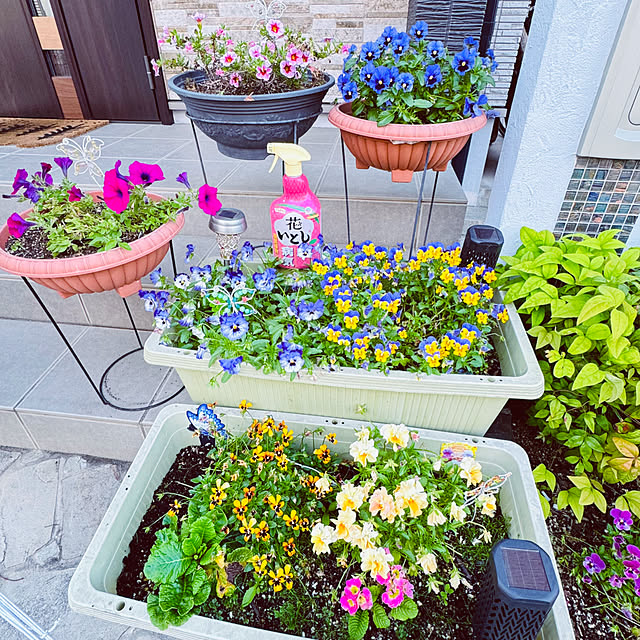 My Desk,ガーデニング,花のある暮らし,害虫対策,モニター投稿お付合いありがとうございます,アースガーデン,ガーデニングが好き,モニター当選ありがとうございます◡̈*.,花いとし,暮らしのハンドブック2024 uki-uki77の部屋