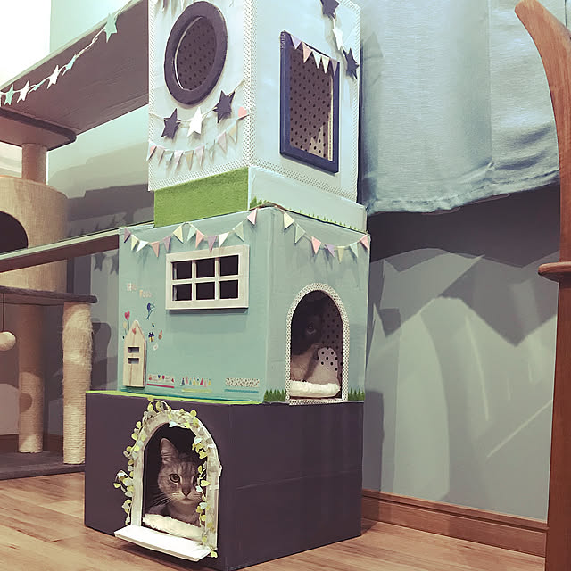 Lounge,ダンボールで猫ハウス,ダンボールDIY,ハンドメイド,セリア,ダイソー,ねこのいる日常,リノベーションなお家,100均 mayraionの部屋