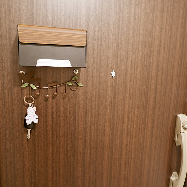鍵の置き場所,玄関インテリア,RoomClipショッピング,宮武製作所,RoomClipポイントで買いました♡,一人暮らし,マスクケース TEER,1LDK,賃貸,1LDK 1人暮らし,マスクケース,Entrance Azukiの部屋