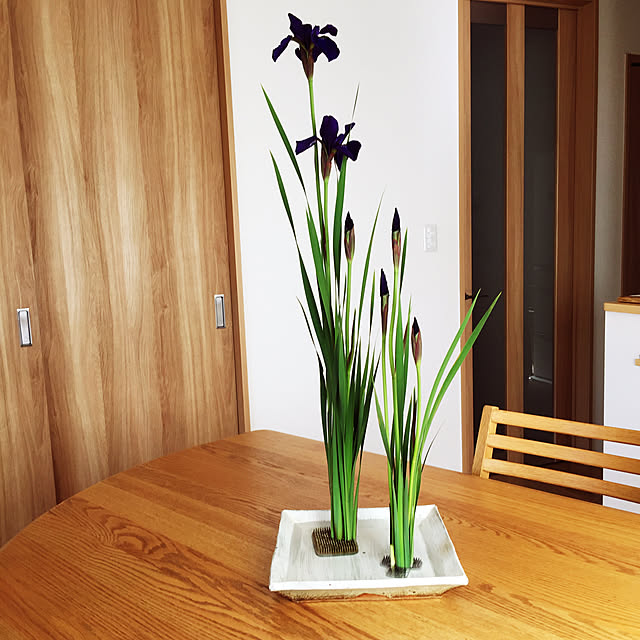 生け花習ってました✨,生け花のある暮らし,生け花自己流,菖蒲の花,Lounge pontaの部屋