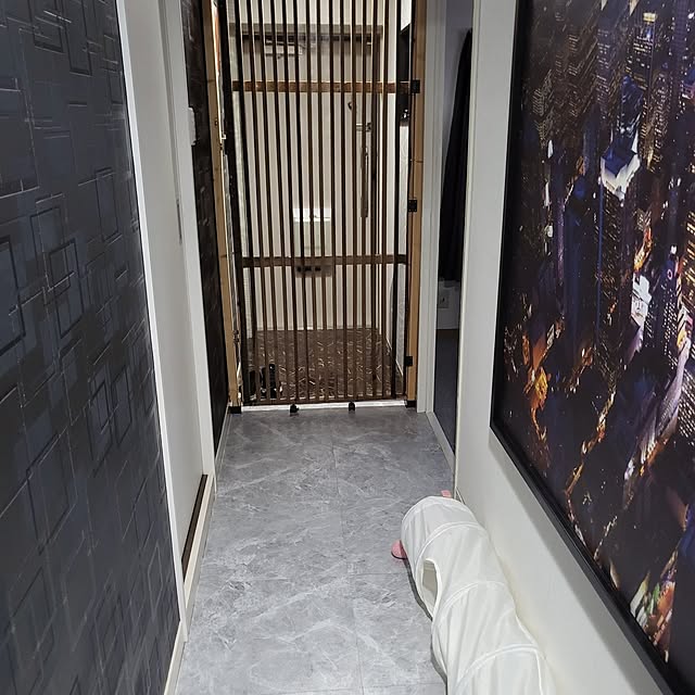 Entrance,ダイソー,IKEA,100均,DIY,リフォーム,モノトーン,保護猫,ねこのいる日常,キャットウォークDIY,キジトラ猫,猫と暮らす家,ねこと暮らす,ねこのいる暮らし,猫　脱走防止,脱走防止扉diy,床にものを置かない momoの部屋