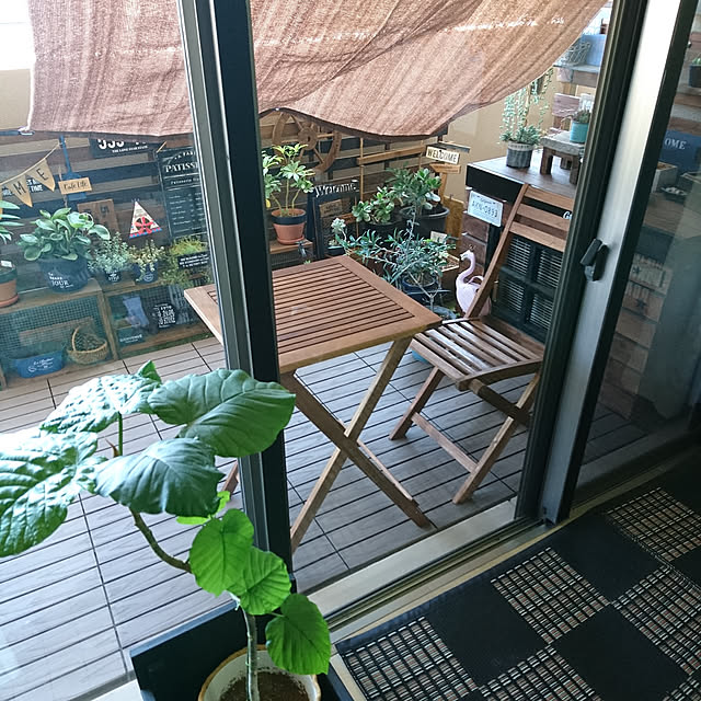 Entrance,2020年5月28日,Daiso,ベランダ,コメントお気遣いなく♡,ウインドオーニング,DAISOのウインドオーニング,いいね、フォロー本当に感謝です♡,インスタ→lovepeacedog,山善ウッドパネル,山善ウッドパネル部,山善,洗えるラグ,イケヒコポリプロピレンラグ,イケヒコ,ウンベラータ,ニトリ,ニトリの折りたたみチェア,ニトリの折りたたみテーブル lovepeaceの部屋