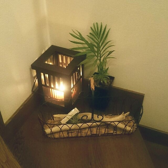 My Shelf,アイアン雑貨,流木,ハモニカ,エアプランツ,観葉植物,アロマキャンドル nippopoの部屋
