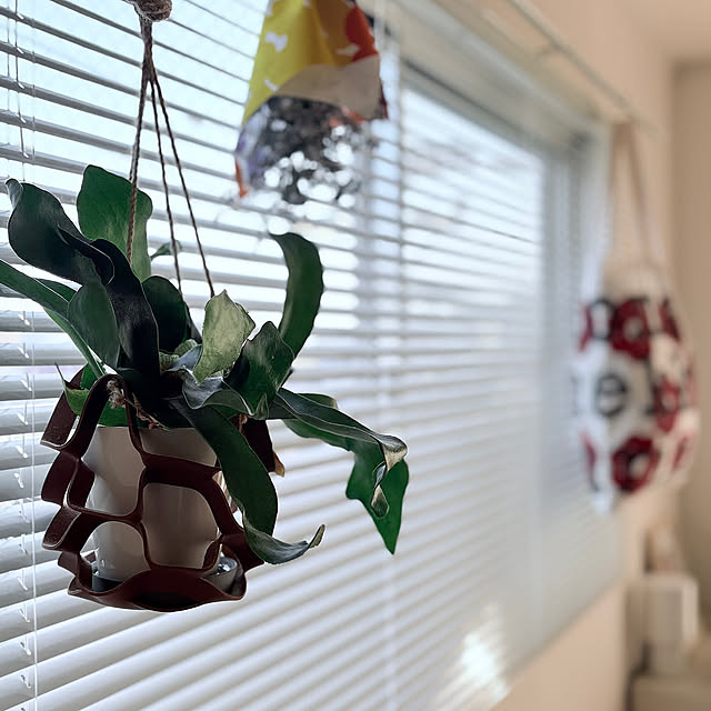 Bedroom,観葉植物,一人暮らし,マリメッコ,北欧,マリメッコのある暮らし,IKEA fav_thingの部屋