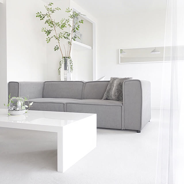 Lounge,ソファ,10000人の暮らし,シンプルライフ,MONOTONE,もたない暮らし,シンプルインテリア,持たない暮らし,シンプル,インスタ→4696tuuli,ミニマリスト,ミニマル,モノトーン,さしすせそのインテリア,モノトーンインテリア,白黒グレー,シンプルモダン,ミニマム,さしすせその収納,クローゼット,クローゼットの中 tuuliの部屋