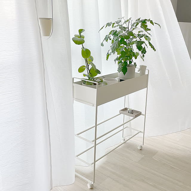 観葉植物のある部屋,観葉植物のある暮らし,観葉植物,プランターボックス,プランタースタンド,プランター,プラントスタンド,プラントボックス,リビングインテリア,リビングダイニング,リビング,賃貸リビング,roomclip,kurasso,山崎実業 tower,山崎実業,tower製品,tower(タワー),tower,towerシリーズ,買ってよかったもの,賃貸でも楽しく♪,夫婦二人暮らし,オシャレ雑貨,ナチュラルインテリア,インテリア,お洒落インテリア,賃貸でも諦めない,賃貸,シンプルな暮らしに憧れる,夫婦2人暮らし,雑貨,くすみカラーインテリア,北欧,シンプルな暮らし,シンプルインテリア,賃貸マンション,賃貸でも諦めない！,Lounge gxmxhomeの部屋